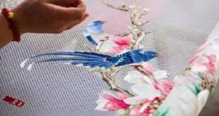 Wendeng's Lu Embroidery: Treasured Cultural Heritage