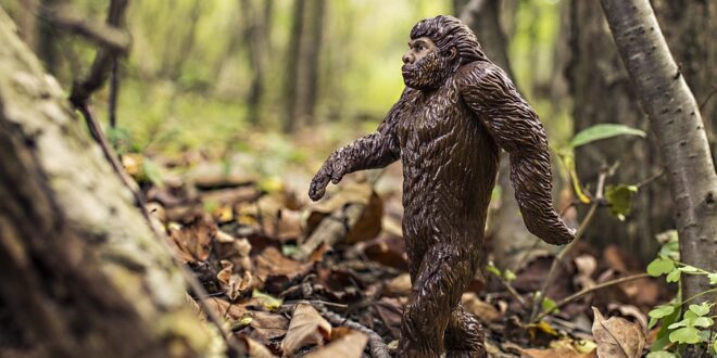 Bigfoot