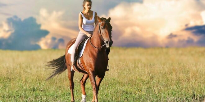 horseback riding