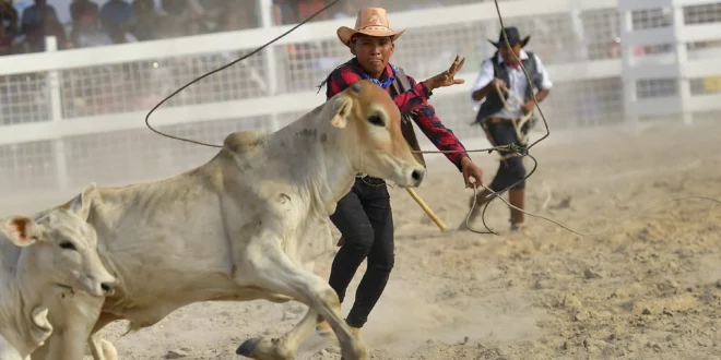 Rupununi Rodeo honors Guyana's cowboy culture.