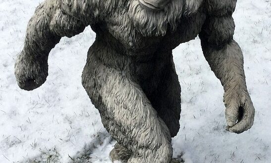 Bigfoot