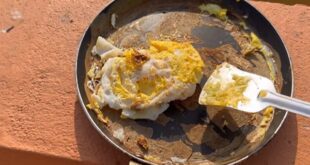 Man fries egg on terrace during heatwave.