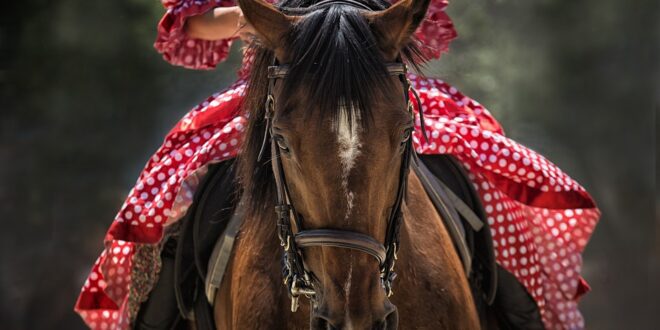 horseback riding