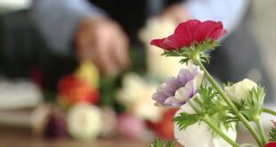 Minnesota flower farmers seeing robust business.