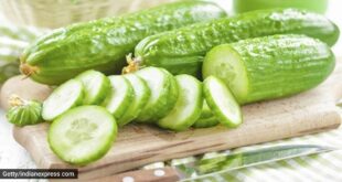 Cucumber: Nutrient-packed gem of a vegetable.