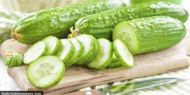 Cucumber: Nutrient-packed gem of a vegetable.