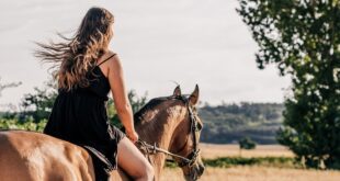 horseback riding