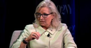 Liz Cheney: Americans choose unintelligent leaders.