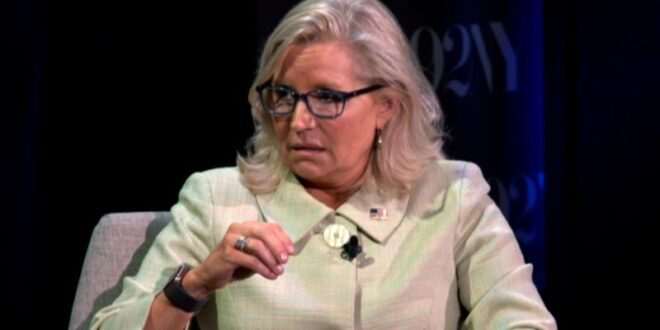 Liz Cheney: Americans choose unintelligent leaders.