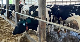 Tech and Management Showcased in Dairy Industry