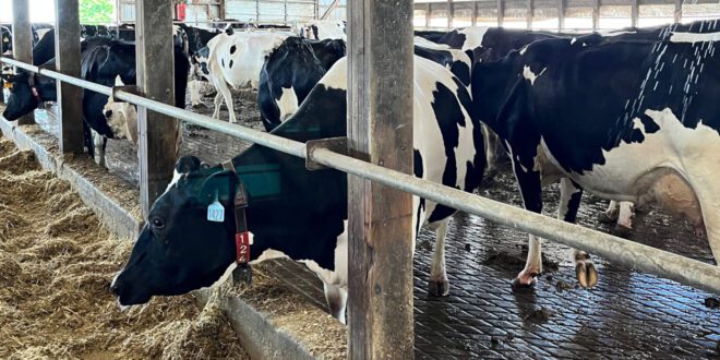 Tech and Management Showcased in Dairy Industry