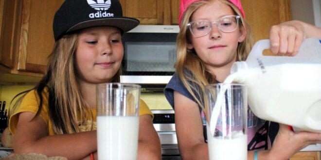 Dairy majorly impacts people's health - Cache Valley Daily.