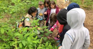 Nature education classes available in July