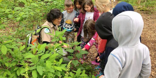 Nature education classes available in July