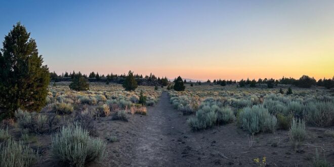 Best times to see Oregon Badlands flowers: evening, morning.