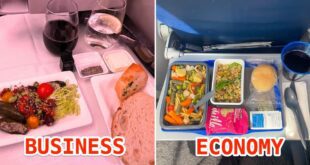 Business class has better meals than economy.