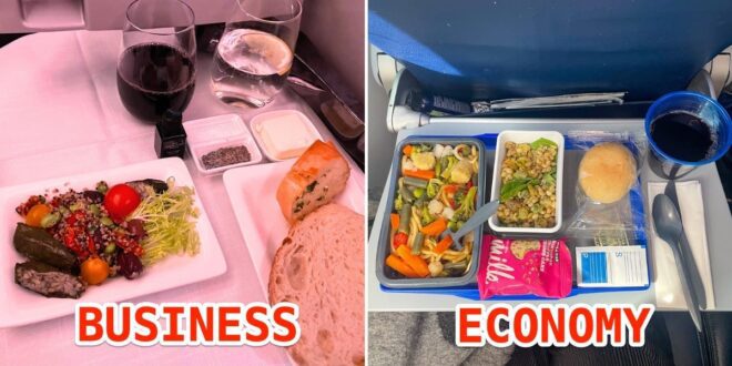 Business class has better meals than economy.