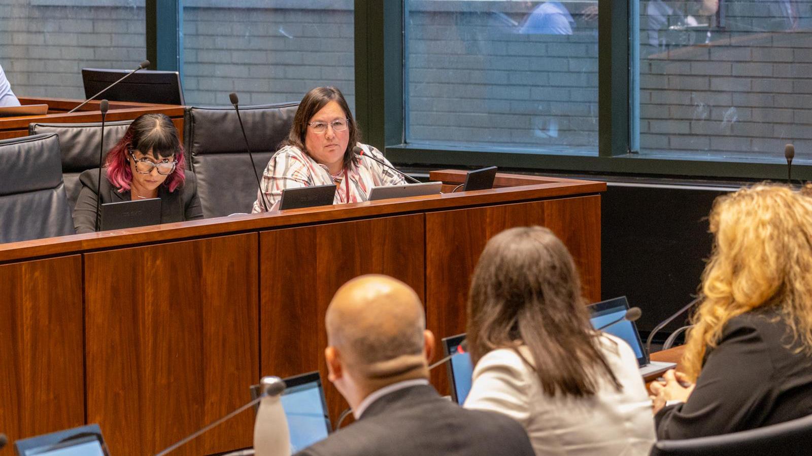 Sen. Cristina Castro, D-Elgin, and Rep. Eva-Dina Delgado, D-Chicago, question representatives of the Illinois Department of Healthcare and Family Services about proposed changes to programs that offer health care benefits to noncitizens in Illinois. (Andrew Adams / Capitol News Illinois)