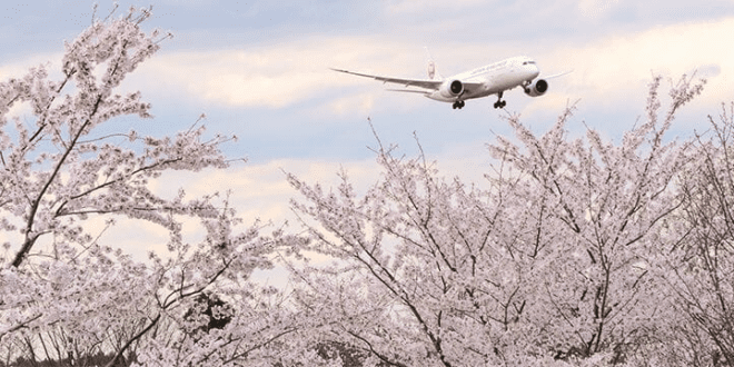 Japan Airlines adopts sustainable fashion practices.