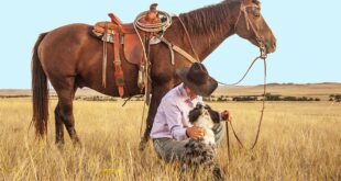 horseback riding