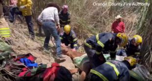 Horse saved by firefighters in dramatic rescue on camera.
