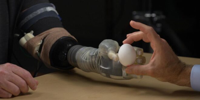 Prosthetic limb technology advances - feeling and control.