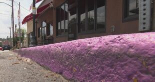 City leaders reassure business owners about purple parking zones.