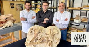 41-million-year-old whale discovered in Egyptian desert.