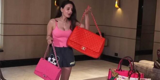 Ameesha Patel's opulent lifestyle exposed, revealing mysterious wealth.
