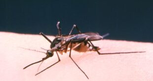 First West Nile virus case reported in Idaho.