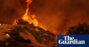 Newsom feuds with Trump as LA burns.