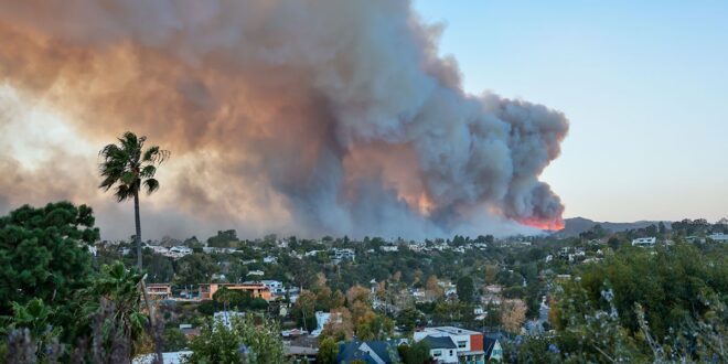 LA wildfires prompt fashion industry to assess losses.