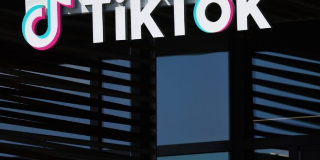 Impact of TikTok ban on fashion world