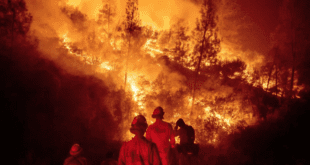 California's top 5 devastating wildfires in condensed form: - Largest California fires wreaking destruction in history.