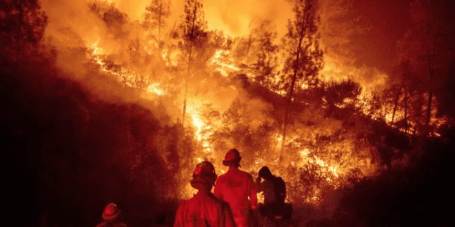 California's top 5 devastating wildfires in condensed form: - Largest California fires wreaking destruction in history.